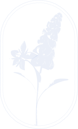 balance symbol